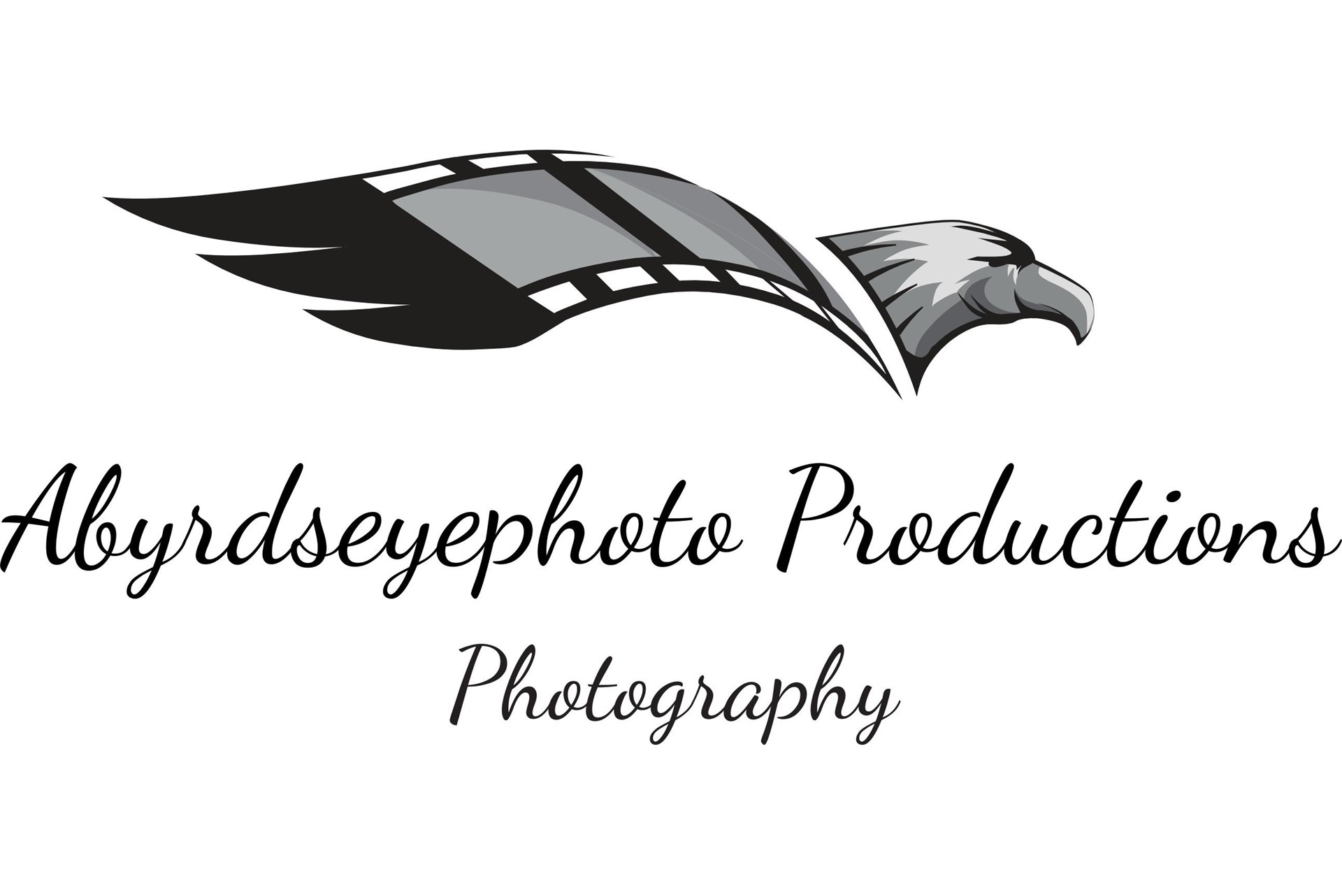 aByrdseyephoto Corporate Photography