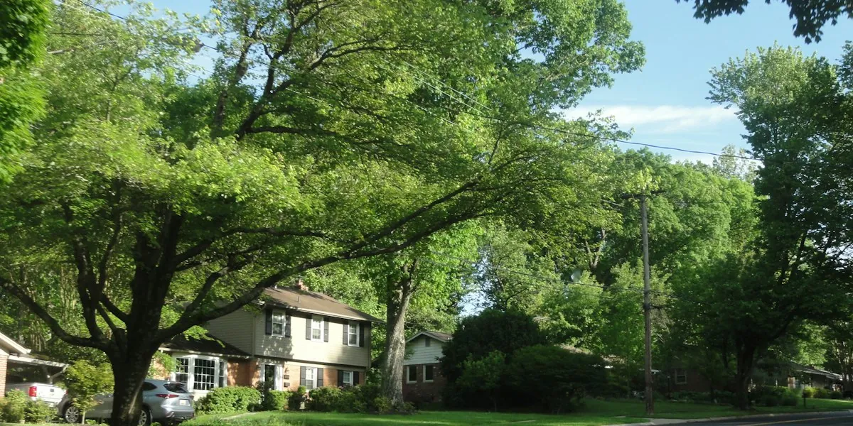 How to Collect HOA Dues Online Without a Management Company